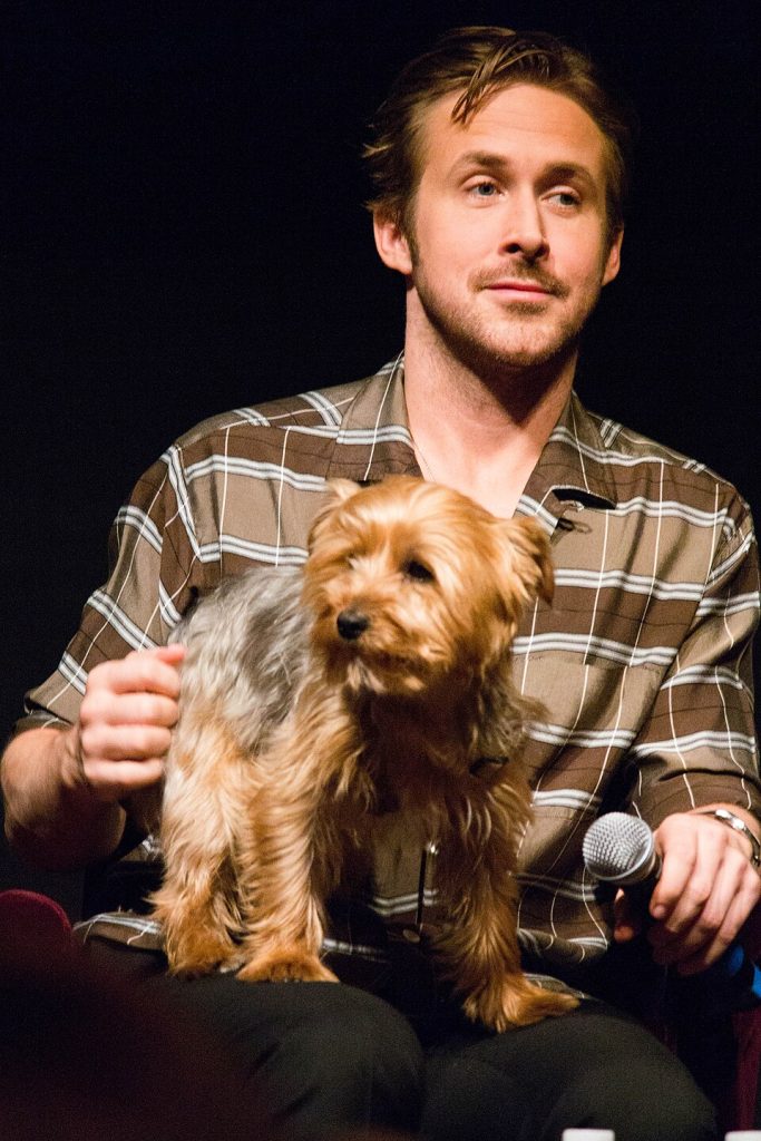 Ryan Gosling with dog